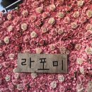 라포미 | 마카롱 맛집, 라포미 후기