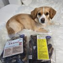 나정푸드 이미지