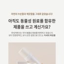 락토딥 이미지