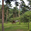 청소년야영장 이미지