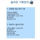 솔비쥬