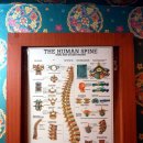 도봉안마원 이미지