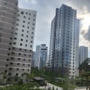 세종의 아침 태권도(집현관) | 세종 줄눈시공/세종자이더시티 무펄줄눈시공