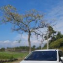 제주스테이머들 감성자쿠지펜션 이미지