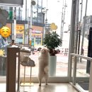 써니몽 네이버블로그