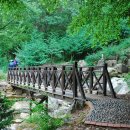 해운대에 올라 이미지