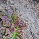 문산그린농약사 이미지