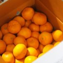 기수농장 이미지