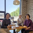 2025 영팝반 점심모임 이미지