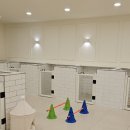 부산애견호텔 강아지유치원 맘바이 사하구점 이미지