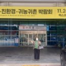 산야유정란 이미지