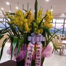 돌산중학교 이미지