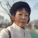 네파문정 이미지
