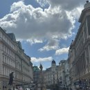 케익하우스모짜르트 | 여행 이정은 로맨틱 비엔나 투어 내돈내산 후기 (미녀와 한스 투어 비교: 쇤부른 궁전, 벨베데레궁전)