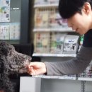 김미경농장 이미지