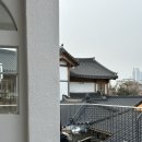 📆주말에 뭐하지?? 🏰수원 화성행궁🍩츄플러스🧡, 남문통닭 솔직후기🍗 주차꿀팁🚘