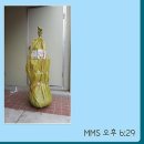 큰집농장 이미지