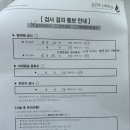 율하동로 | [임신일기] 11주-14주 / 융모막검사, 젠더리빌