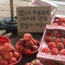 잠홍