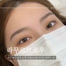 보떼달동