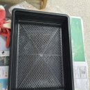 주식회사 더바이오 | 상추, 토마토, 로메인상추, 호박 모종심기 동성바이오 콤비균 병해충 관리 사용후기