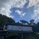 보중정육식당 | [영월]9월의 촌캉스