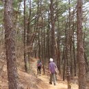 강화산성북문 Daum카페