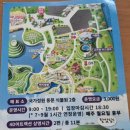 시크릿안경 | 순천만국가정원 시크릿 어드벤처 – 아이랑 즐긴 11분의 완벽한 4D 모험기