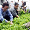 고건농장 이미지