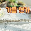 플룻연주여행 이미지