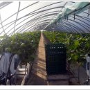 대열농장 이미지