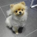 마스터그루밍클럽 이미지