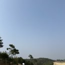 영천(대구) | 경북 골프장 대구 근교 명문 구장 라운딩 후기 영천오펠