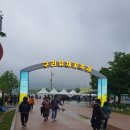 2025년 구리한강시민공원 유채꽃축제 후기 (주차정보)
