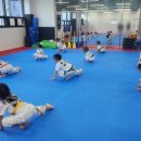 숨비소리 태권도장 이미지