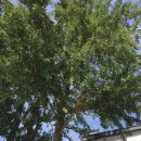 모모네집 이미지