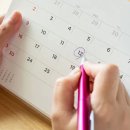 인사이트 이미지