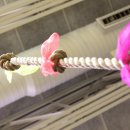 현봉휘트니스 이미지