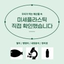내가 뉴스다 | mirra ai 사용후기 카드뉴스 5분만에 만드는 미라