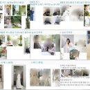 W, 섬 스튜디오 웨딩 촬영 준비 (시안, 준비물 등)