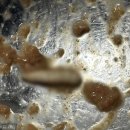 장관종합전문정비 이미지