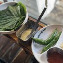 마포쭈꾸미 | 쭈꾸미블루스 신촌본점 방문 후기 | 마포 쭈꾸미 맛집 추천