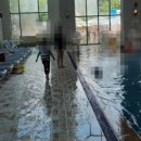 횡성귀족한우정육식당 이미지