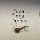 제주담투어 이미지