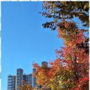 신뢰행정사사무소 이미지