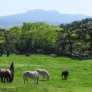 재현축산 이미지
