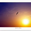 노을바다풍경 이미지