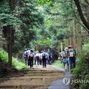 제주연합여행사