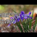 Forest Hymn 숲의 연가 /빌 더글라스 이미지