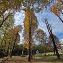 천주교광주대교구청식당동 이미지